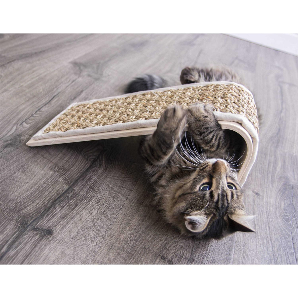 Sea Ramp Floor Scratcher with Catnip M809