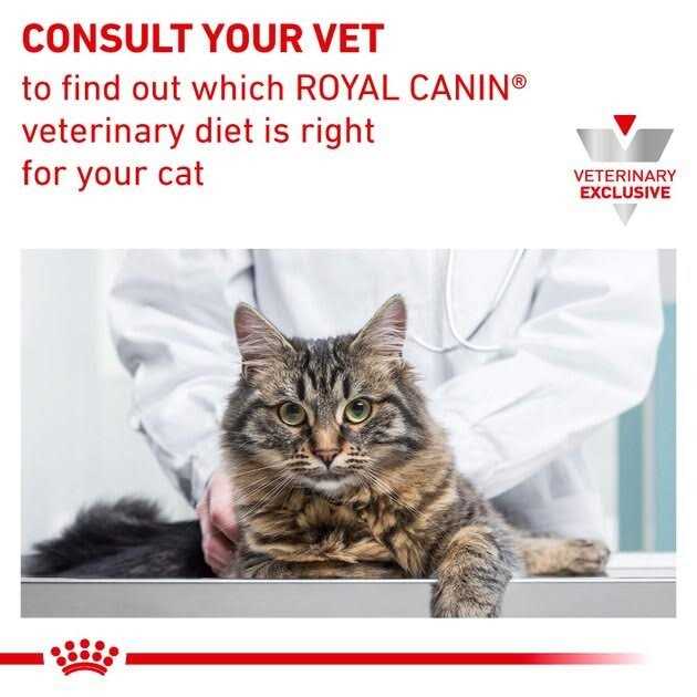 Calm Dry Food M496640