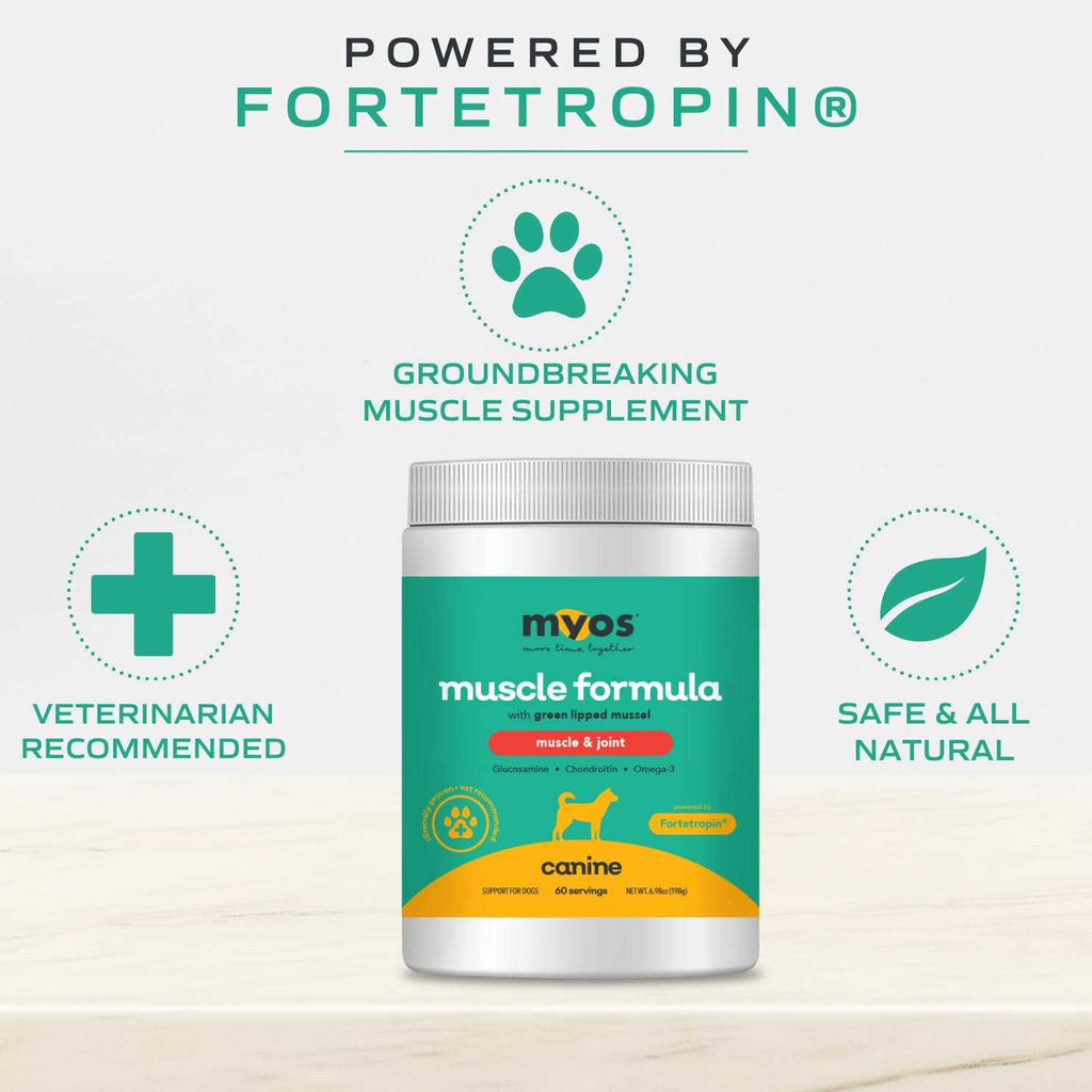 Dog Supplement with Green Lipped Mussel Powder G326660