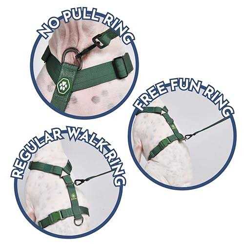 No-Pull Dog Harness V9639
