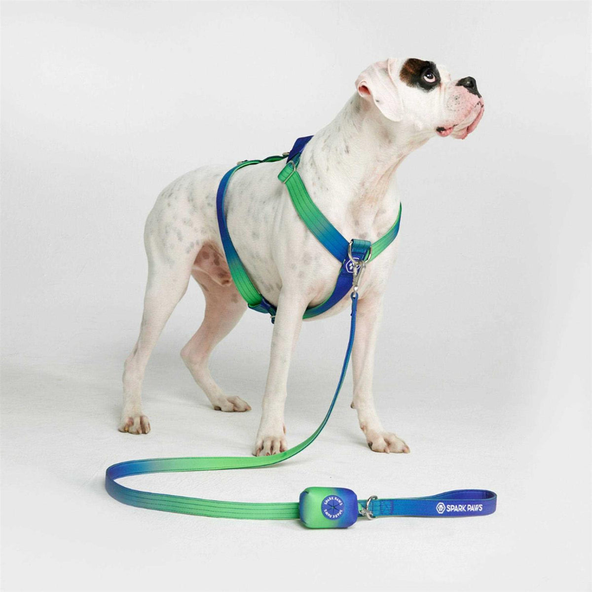 No-Pull Dog Harness V9639