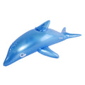 Inflatable Pool Toy Y681419