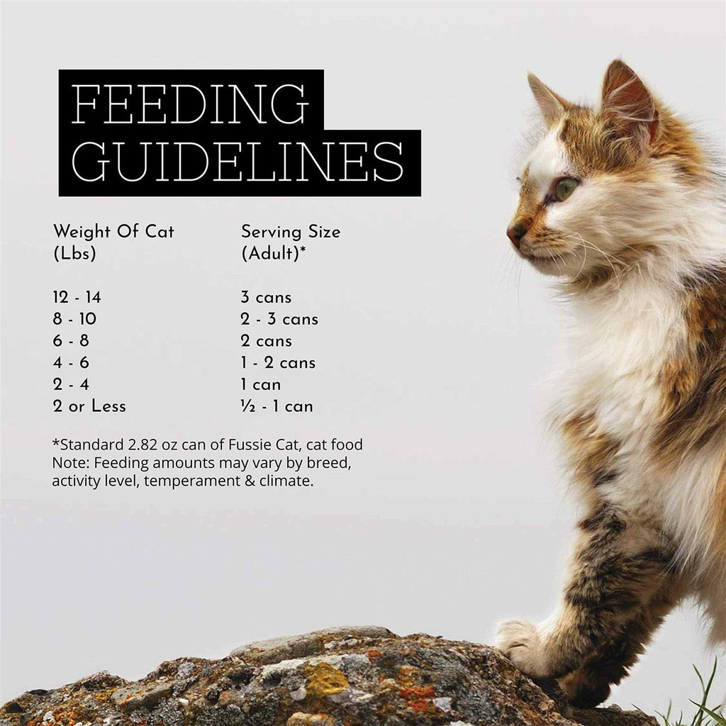 Chicken Gravy Cat Food G360113